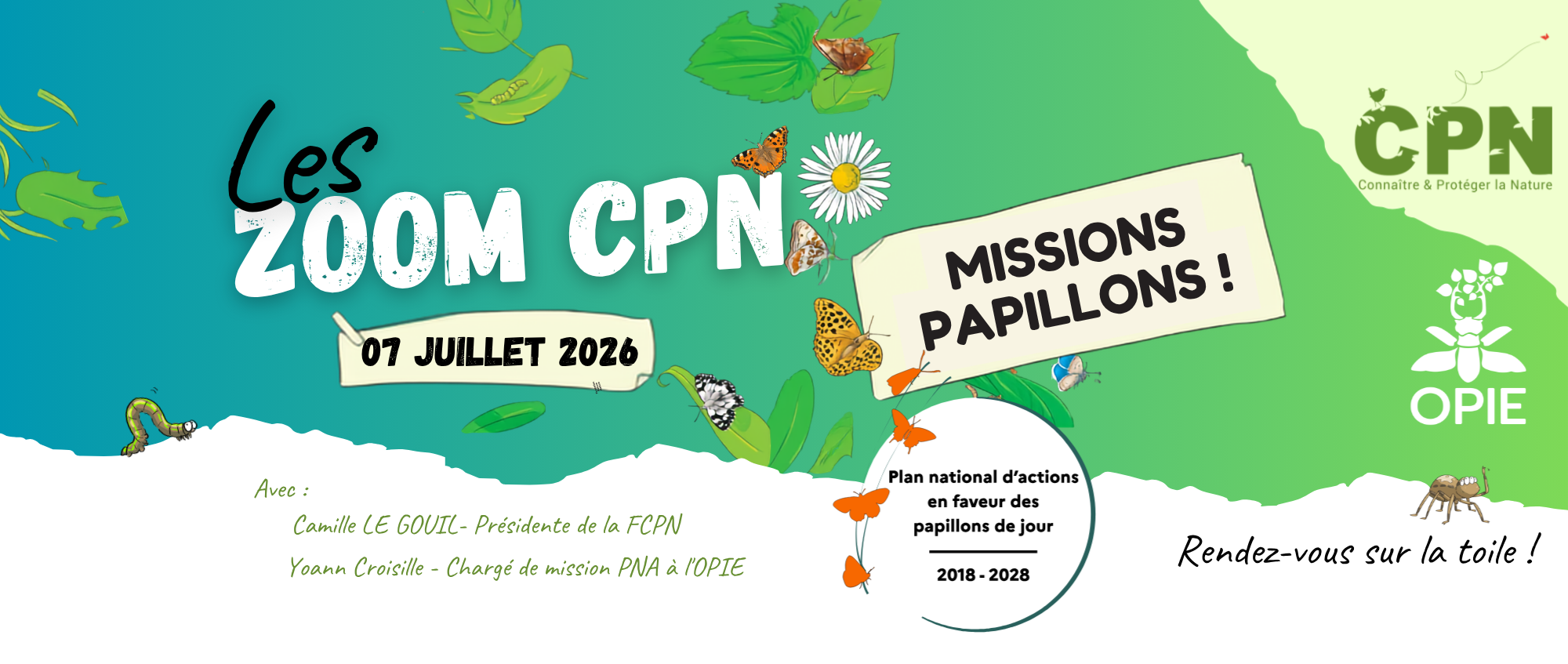 zoom mission papillons !