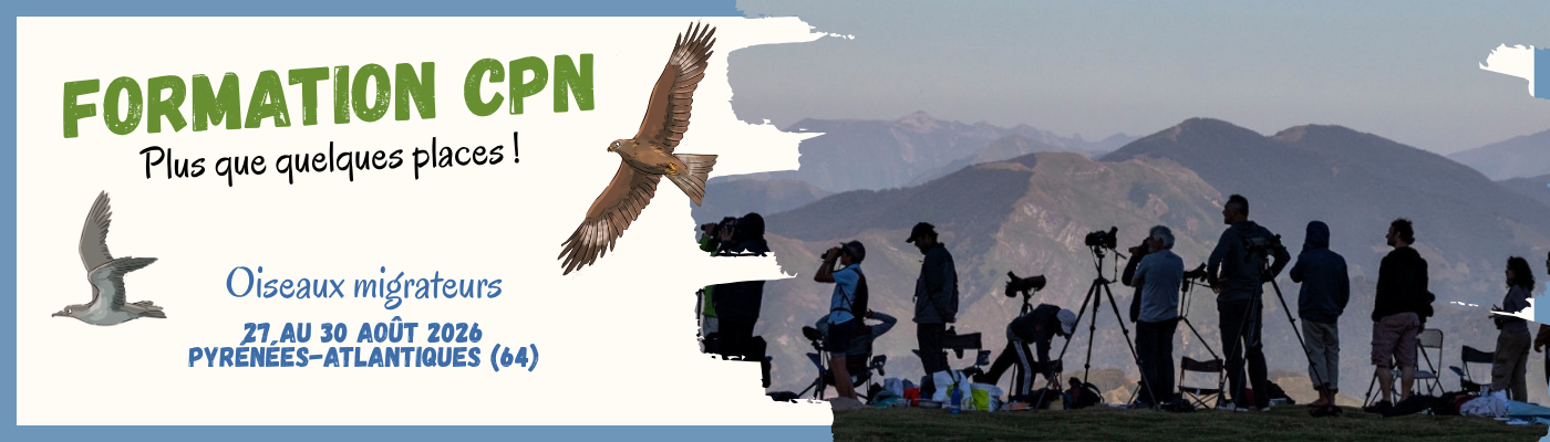 formation Oiseaux migrateurs (1)