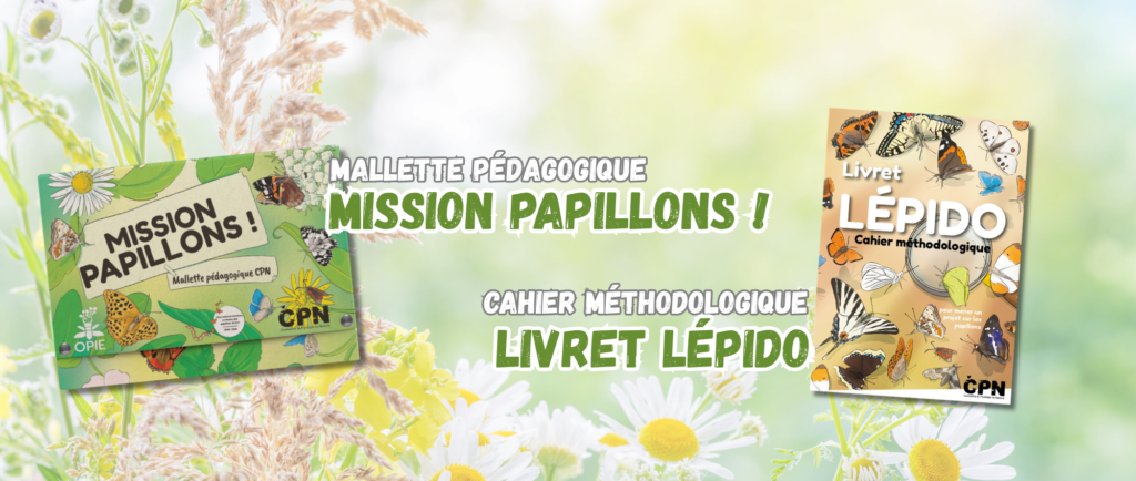 mallette pap (1)